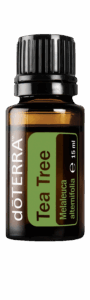 Olejek Tea Tree dōTERRA w buteleczce 15 ml na jasnym tle